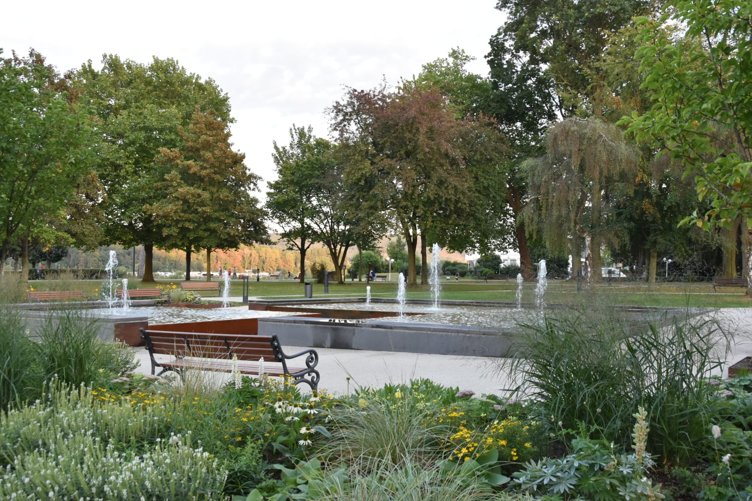 BREISIG.live am Zwibbelsmaat mit Info-Stand im Kurpark